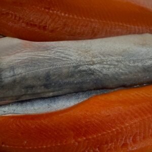 MBY-0001 - Arctic char
