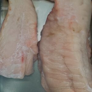 MBY-0008 - Monkfish