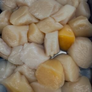 MBY-0009 - Sea scallops