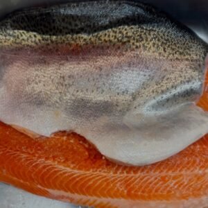 MBY-0011 - Steelhead trout