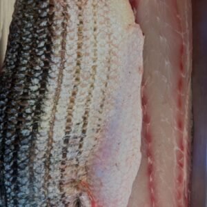 MBY-0012 - Striped bass (wild)