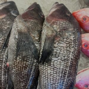 MBY-0014 - Whole Black Sea bass